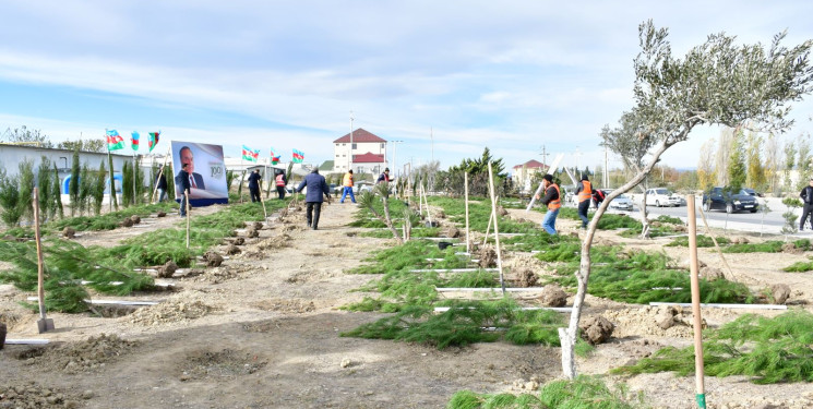 Abşeron rayonunda “Heydər Əliyev İli” çərçivəsində genişmiqyaslı ağacəkmə aksiyası keçirilib
