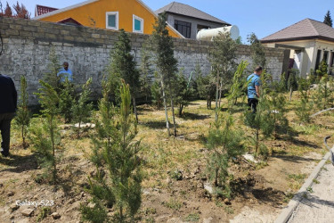 Abşeron rayonunda genişmiqyaslı təmizlik-abadlıq həftəsi keçirilib