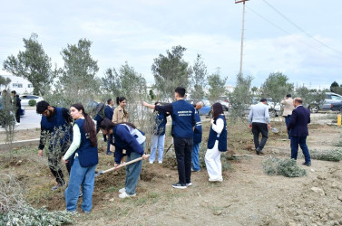 Abşeron rayonunda “Yaşıl dünya naminə həmrəylik ili” çərçivəsində silsilə ağacəkmə aksiyaları keçirilir