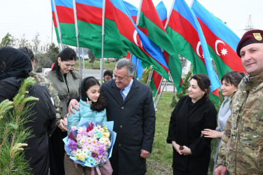 Abşeron rayonunda “Heydər Əliyev İli” çərçivəsində ağacəkmə aksiyası keçirilmişdir