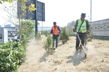 Abşeronda iməclik keçirilib