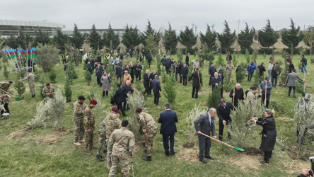 Abşeron rayonunda “Heydər Əliyev İli” çərçivəsində ağacəkmə aksiyası keçirilmişdir