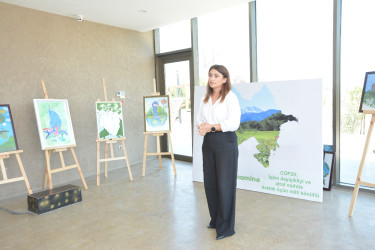 Abşeronda “COP29: İqlim dəyişikliyi və ətraf mühitə dəstək üçün milli könüllü” mövzusunda seminar keçirilib.