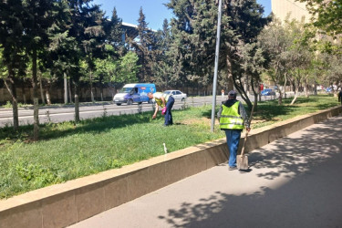 Abşeron rayonunda genişmiqyaslı təmizlik-abadlıq həftəsi keçirilib