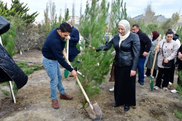 Abşeron rayonunda “Heydər Əliyev İli” çərçivəsində genişmiqyaslı ağacəkmə aksiyası keçirilib