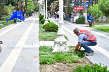 Xırdalan şəhərindəki Heydər Əliyev adına Mədəniyyət və İstirahət Parkında növbəti abadlıq tədbirləri həyata keçirilib