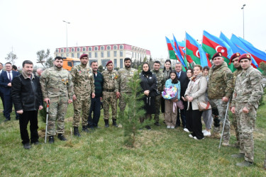 Abşeron rayonunda “Heydər Əliyev İli” çərçivəsində ağacəkmə aksiyası keçirilmişdir