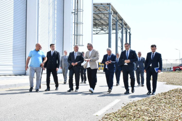 Abşeronda kənd təsərrüfatının inkişafına dair Dövlət Proqramının icrası çərçivəsində görülmüş işlər və hədəflər müzakirə olunub