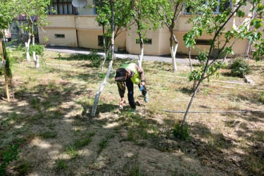 Abşeron rayonunda genişmiqyaslı təmizlik-abadlıq həftəsi keçirilib