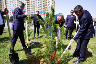 Abşeron Rayon Mərkəzi Xəstəxanasında Ümummilli Lider Heydər Əliyevin büstünün açılışı mərasimi və “Yaşıl dünya naminə həmrəylik ili” çərçivəsində ağacəkmə aksiyası keçirilib.