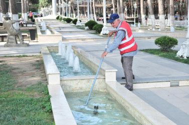 Abşeronda iməclik keçirilib