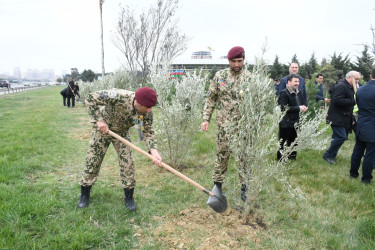 Abşeron rayonunda “Heydər Əliyev İli” çərçivəsində ağacəkmə aksiyası keçirilmişdir