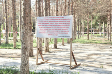 Abşeron rayonunda qurumuş ağacların götürülməsi və yerlərinə yeni tinglərin əkilməsinə başlanılmışdır