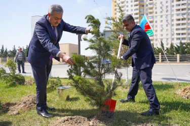 Abşeron Rayon Mərkəzi Xəstəxanasında Ümummilli Lider Heydər Əliyevin büstünün açılışı mərasimi və “Yaşıl dünya naminə həmrəylik ili” çərçivəsində ağacəkmə aksiyası keçirilib.