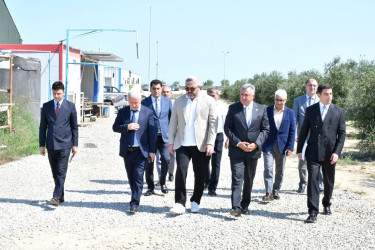 Abşeronda kənd təsərrüfatının inkişafına dair Dövlət Proqramının icrası çərçivəsində görülmüş işlər və hədəflər müzakirə olunub