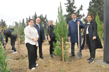 Abşeron rayonunda “Yaşıl dünya naminə həmrəylik ili” çərçivəsində silsilə ağacəkmə aksiyaları keçirilir