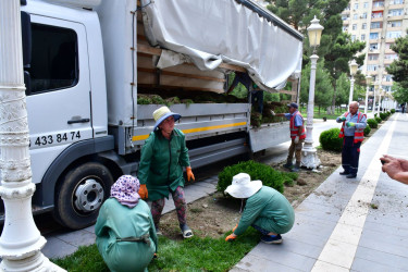 Xırdalan şəhərindəki Heydər Əliyev adına Mədəniyyət və İstirahət Parkında növbəti abadlıq tədbirləri həyata keçirilib