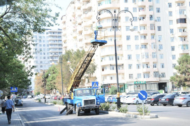 Abşeronda iməclik keçirilib