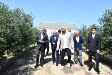 Abşeronda kənd təsərrüfatının inkişafına dair Dövlət Proqramının icrası çərçivəsində görülmüş işlər və hədəflər müzakirə olunub