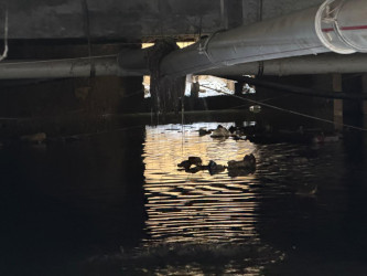 Abşeronda yağışın yaratdığı fəsadların aradan qaldırılması istiqamətində görülən işlər davam etdirilir