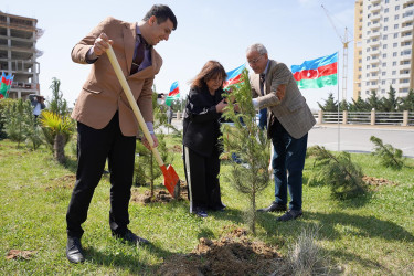 Abşeron Rayon Mərkəzi Xəstəxanasında Ümummilli Lider Heydər Əliyevin büstünün açılışı mərasimi və “Yaşıl dünya naminə həmrəylik ili” çərçivəsində ağacəkmə aksiyası keçirilib.