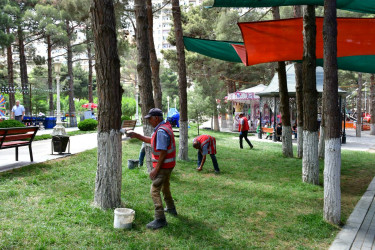 Xırdalan şəhərindəki Heydər Əliyev adına Mədəniyyət və İstirahət Parkında növbəti abadlıq tədbirləri həyata keçirilib