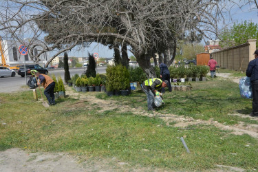 Abşeron rayonunda genişmiqyaslı təmizlik-abadlıq həftəsi keçirilib