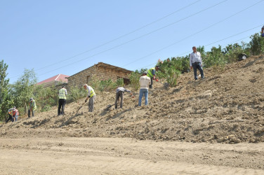 Abşeron rayonunda yeni yaşıllıq sahələri salınır