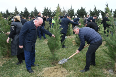 Abşeron rayonunda “Heydər Əliyev İli” çərçivəsində ağacəkmə aksiyası keçirilmişdir