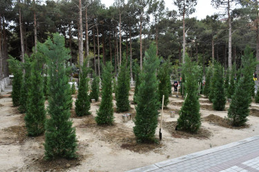 Abşeron rayonunda “27 sentyabr - Anım Günü” qeyd edilib