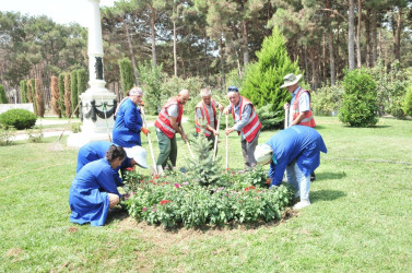 Abşeronda iməclik keçirilib