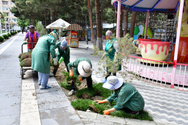 Xırdalan şəhərindəki Heydər Əliyev adına Mədəniyyət və İstirahət Parkında növbəti abadlıq tədbirləri həyata keçirilib