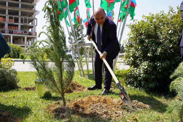 Abşeron Rayon Mərkəzi Xəstəxanasında Ümummilli Lider Heydər Əliyevin büstünün açılışı mərasimi və “Yaşıl dünya naminə həmrəylik ili” çərçivəsində ağacəkmə aksiyası keçirilib.